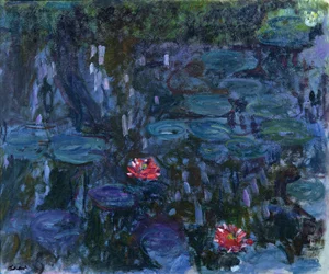 Nénuphars avec reflets d